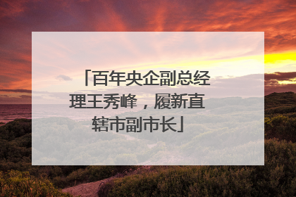 百年央企副总经理王秀峰，履新直辖市副市长